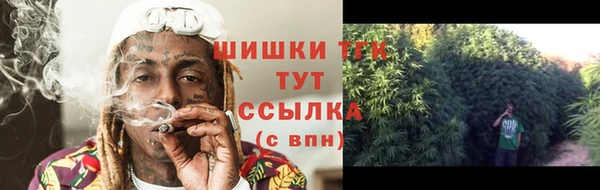 молекула духа Коряжма