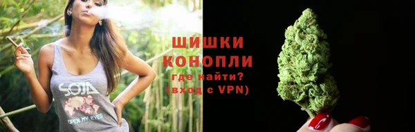 мдпв Липки