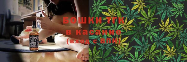 молекула духа Коряжма