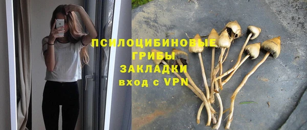молекула духа Коряжма